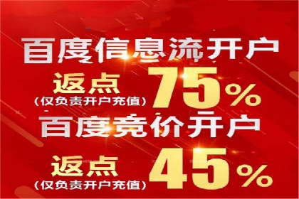 SEM广告投放策略：成功案例解析